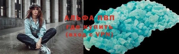 стафф Осташков