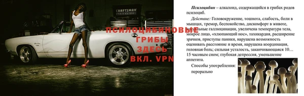 2c-b Остров