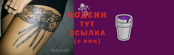 стафф Осташков