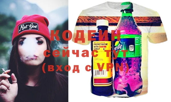 сатива Няндома