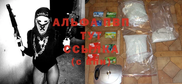 сатива Няндома