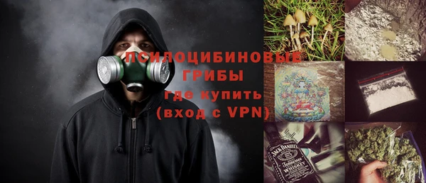 стафф Осташков