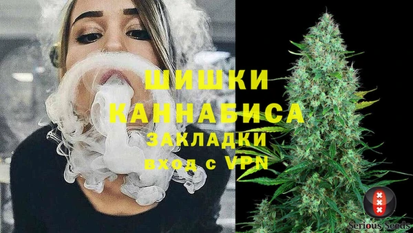 стафф Осташков