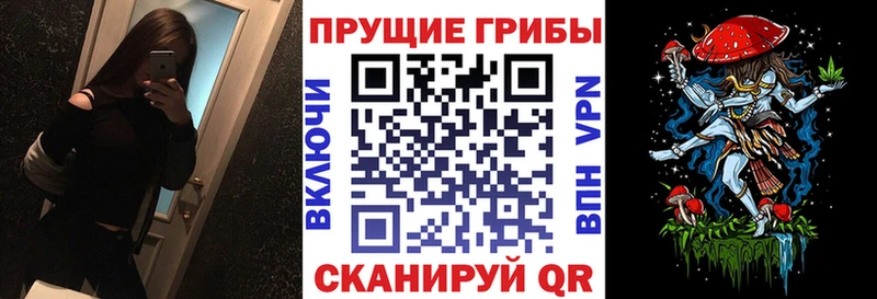 Галлюциногенные грибы Cubensis  Купить закладки  Карталы 